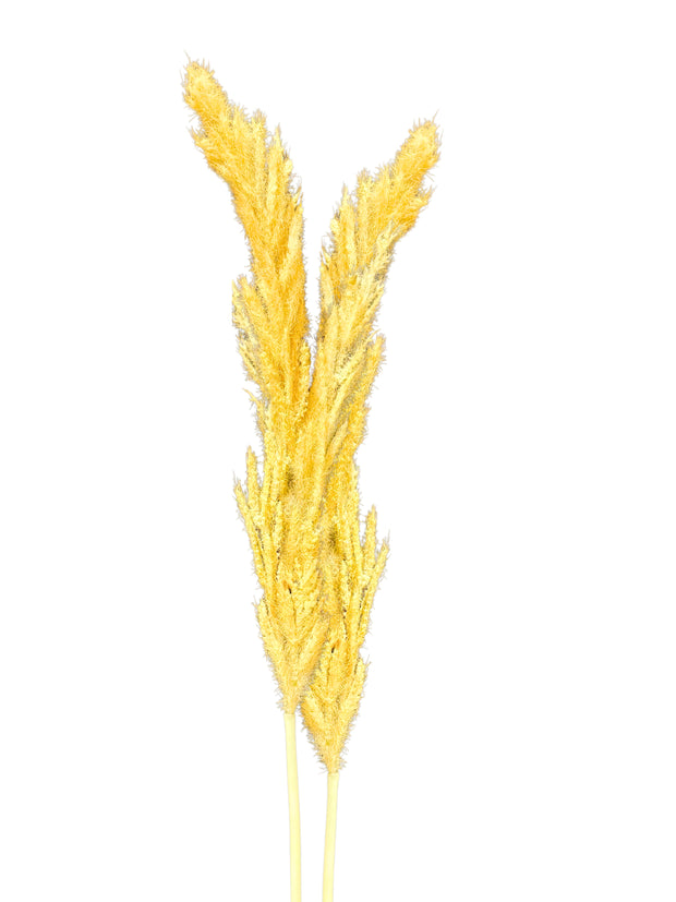 Artificial Pampas Stem - Bundle of 3