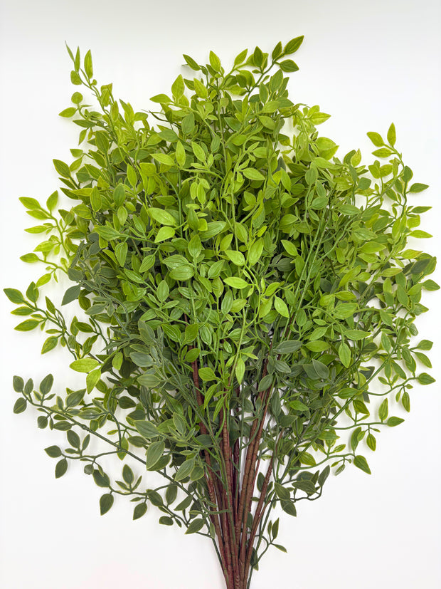 Artificial Italian Ruscus Stems - Bundle of 4