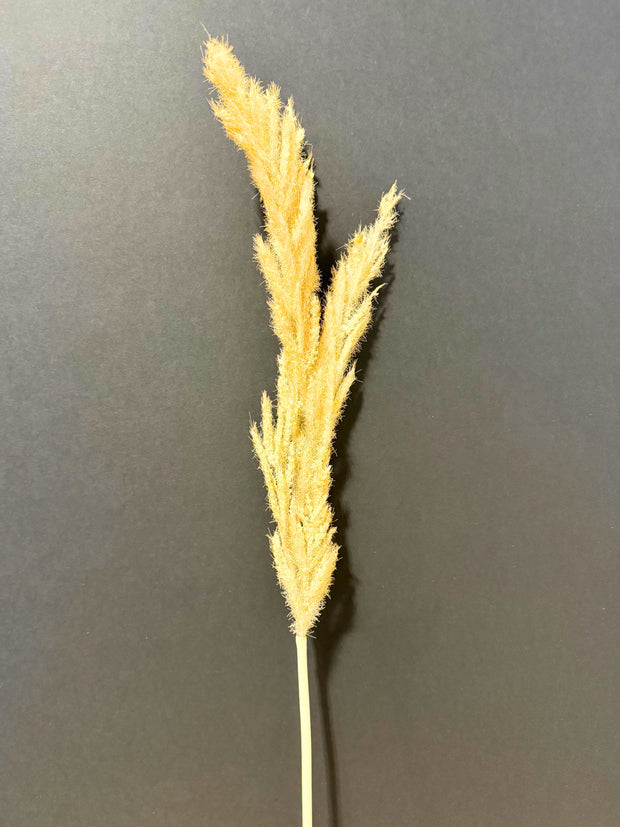Artificial Pampas Stem - Bundle of 3