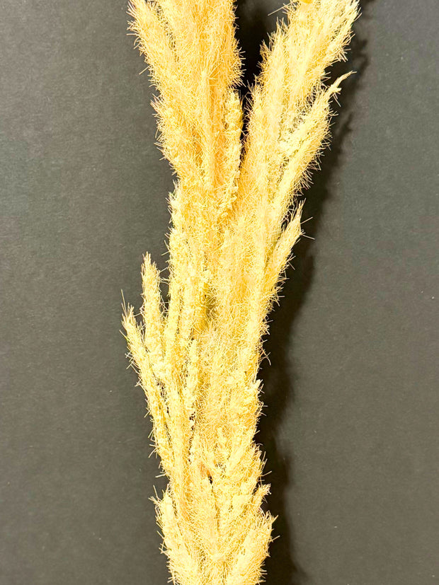 Artificial Pampas Stem - Bundle of 3