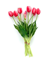 Artificial Real Touch Tulips - Bundle of 10