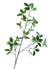 Real Touch Fiscus Microcarpa Stem - Bundle of 4 Stems
