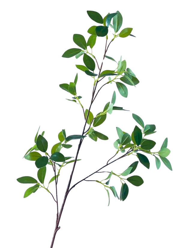 Real Touch Fiscus Microcarpa Stem - Bundle of 4 Stems
