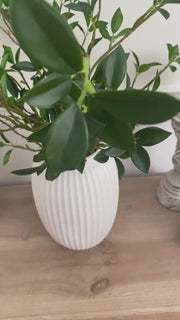 Artificial Real Touch Fiscus Microcarpa Stem, Life Like Greenery Branch, Realistic Artificial Spring Flowers, Faux Greenery Arrangement